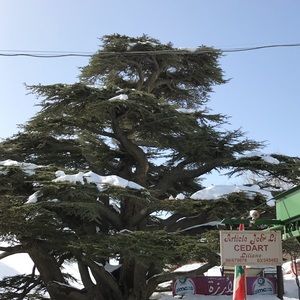 Meet your Posher, Cheri